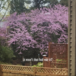 it wasn't that bad was it?