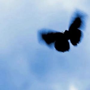 “I Wish U" Lil Tjay type beat