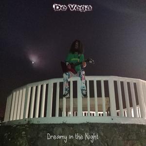 Dreamy in the Night VI