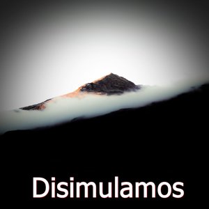 Disimulamos