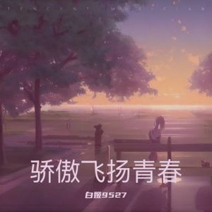 骄傲飞扬青春