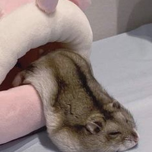 Clear Eyes (sped up)