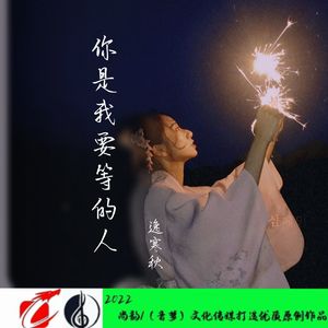 你是我要等的人