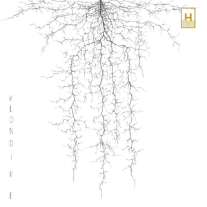 Diane (feat. Francesco Ponticelli & Andrea Beninati)