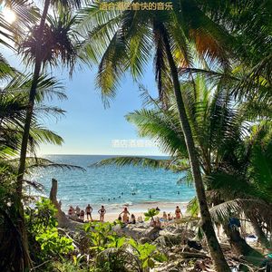 适合旅馆正宗的音乐