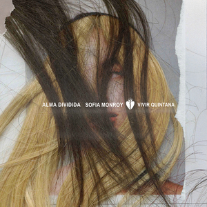 Alma Dividida