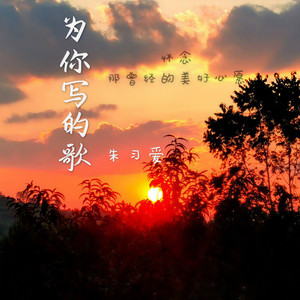 为你写的歌 (剪辑版)