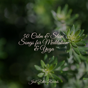 Colorful Melodies Blossom