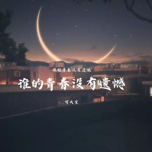 你并非是无声的海