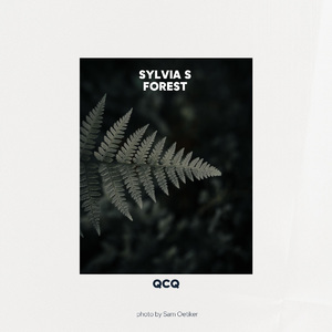 Sylvia s forest
