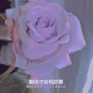 会不会