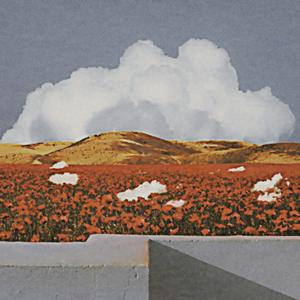 The Page (feat. Octave Lissner) (Sandancer Remix)