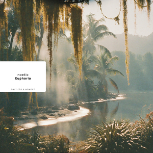 Euphoria