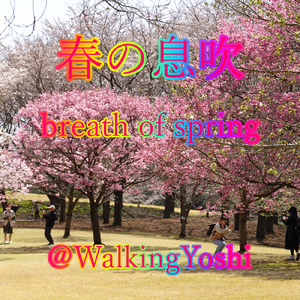 春の息吹
