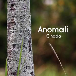 Anomali (Instrumental)