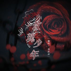 玫瑰少年