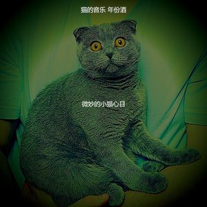优美压力大的猫器乐