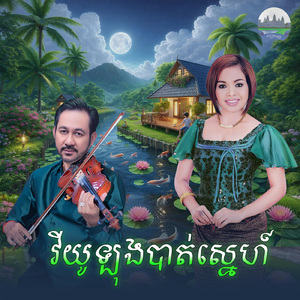វីយូឡុងបាត់ស្នេហ៍