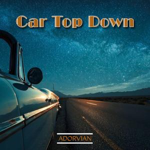 Car Top Down