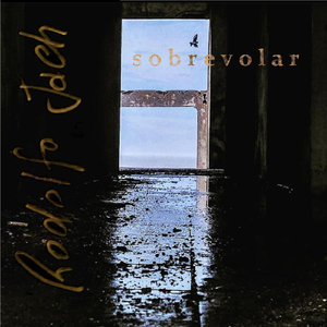 Sobrevolar