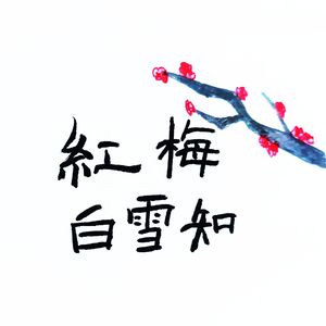 红梅白雪知