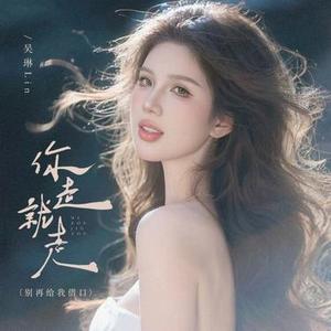 你走就走 (DJ阿诺版)0.8x版