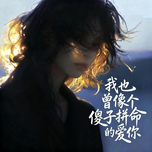 我也曾像个傻子拼命的爱你