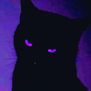 扫地摇（DJ卡点舞）