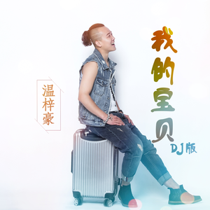 我的宝贝 (DJ何鹏版)