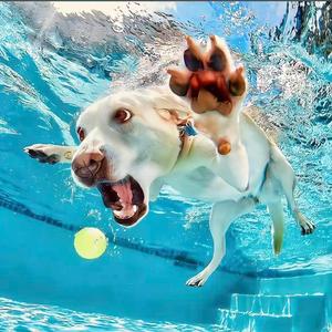 惊鸿一面 天冷冷