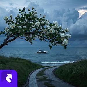 电子之光 (伴奏)