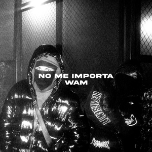 No Me Importa
