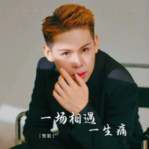 一场相遇一生痛