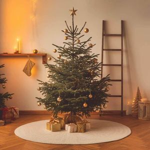 西伯利亚的风吹到了南方