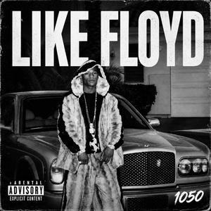 LIKE FLOYD