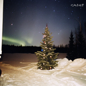 北极圣诞梦