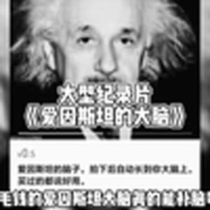 爱因斯坦的大脑(大型纪录片)