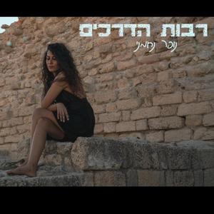 רבות הדרכים