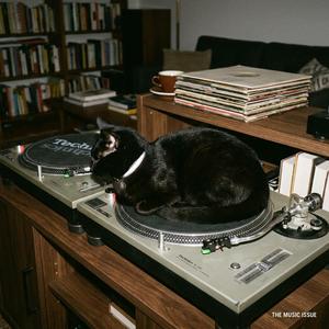 DJ Got Fired (Cape Town Mix) (feat. Sir Rockaway)