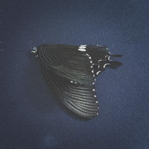 12.24（Prod.Gr33nart Beats）