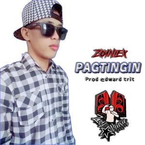 Pagtingin