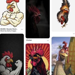 Gallo Fuerte
