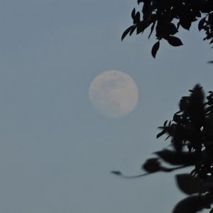 我的一个道姑朋友