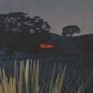 RESAH