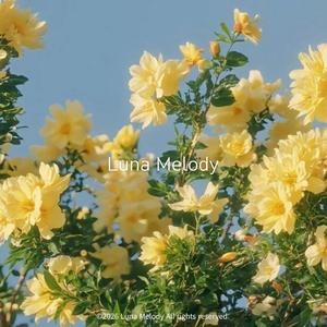 이토록 눈부신 봄 F