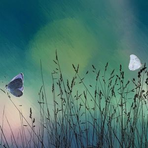 暖一杯茶（抖音热播版）