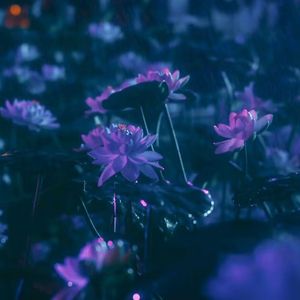 クリームソーダとシャンデリア