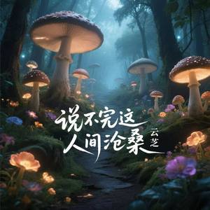 说不完这人间沧桑