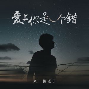 爱上你是一个错