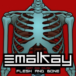 Flesh & Bone (The Others Remix)